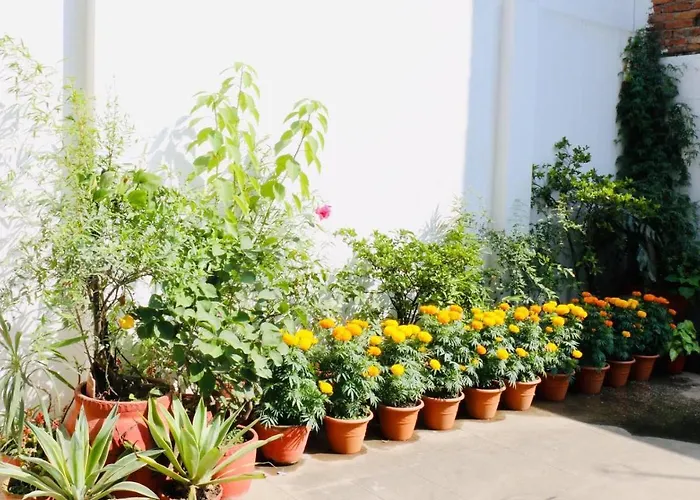 Bed & Breakfast Holy Kathmandu